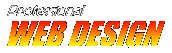 Professional Web Design