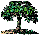 ProcessTree Network